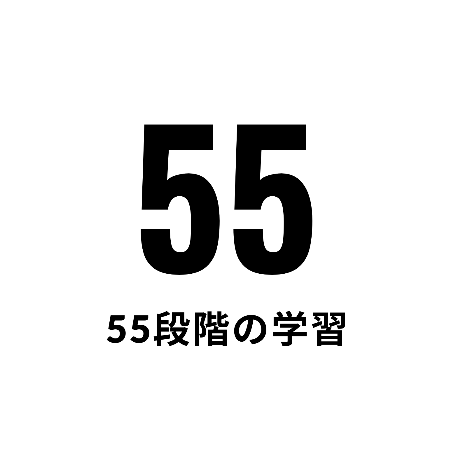 55段階の評価システム